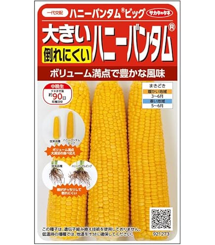 ★とうもろこし@出品★ セゾン限定】【2025年7月中旬～発送】北海道 富良野産 ホワイト
