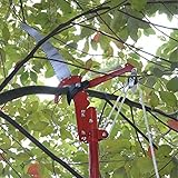 【 2way 軽量 】 簡易 高枝切バサミ 【 のこぎり 付き 】 植栽 剪定 果実 採取