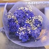 青いカーネーション　20本の花束（キラキラ白いかすみ草付き）花言葉「絆」
