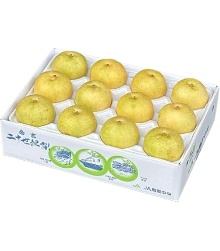 梨✨ Amazon.co.jp: 梨 20世紀梨 ちょっと訳あり 大きさおまかせ 5kg 鳥取県