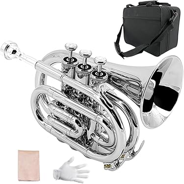 Amazon.co.jp 売れ筋ランキング: ポケットトランペット の中で最も人気