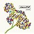JaccaPoP「Parsley」