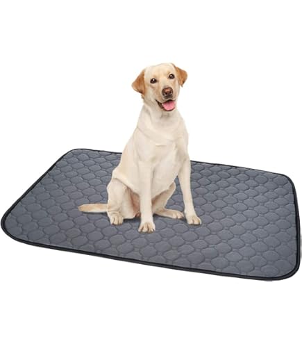 シリコン製トイレマット 滑り止め ペット用アクセサリー 寝室 防水 お手入れ簡単 シリコントイレマット 犬 トイレトレー シリコン製 60×40cm 洗える  ペットマット トイレマット 防水 滑り止め 丸洗い可能 柔らか素材 食事マット兼用 折りたたみ 携帯便利 小型犬 中型犬 肉 ... [いぬのくらし] 犬 ペットシーツ 洗えるトイレマット 小型犬 中型犬 大型犬 獣医師監修 ペット用 おしっこマット 滑り止め 5サ