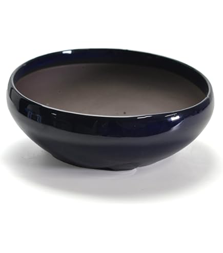 人気常滑作家 松泉焼 山秋造「松泉紫泥切立隅入中帯切足長方鉢」実用性抜群 盆栽鉢 人気常滑作家 松泉焼 山秋造「松泉紫泥切立隅入中帯