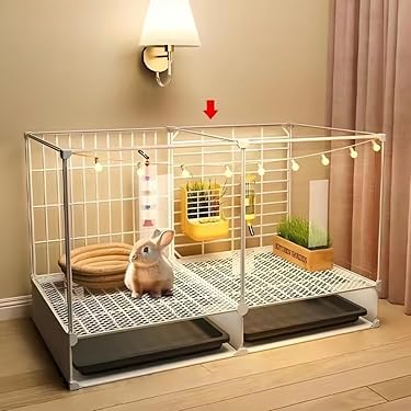【最終値下げ】小動物 飼育セット ハムスター飼育セット 最終値下げ