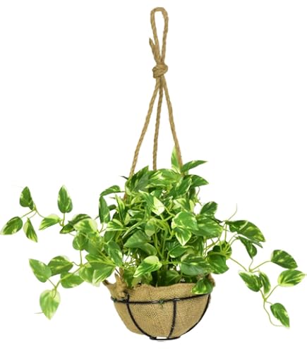 Amazon｜光触媒 人工観葉植物 光の楽園 壁掛けスイートラベンダー