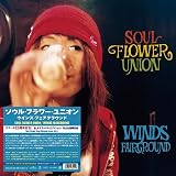 WINDS FAIRGROUND / ウィンズ･フェアグラウンド (2LP) [Analog]