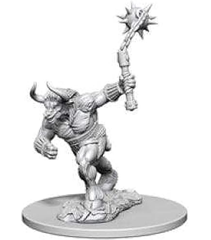 Amazon.co.jp: WizKids D&D Nolzur's Marvelous ミニチュア