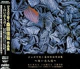 �W���Y�Œ��� �K�c���S ��i�W�V�`�������l�B�`