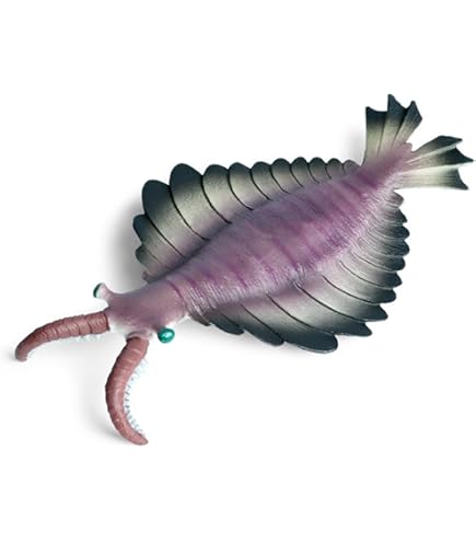 Amazon | EUHELOPA 三葉虫 トライロバイト 節足動物 リアル フィギュア