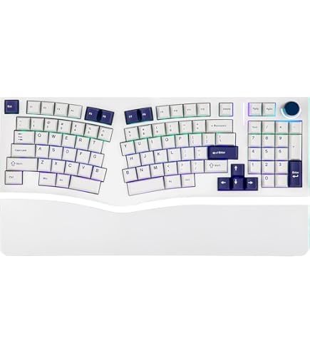 Amazon | ライジュウ NISABI V2 LAK キーキャップ 日本語配列 分割式