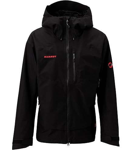 Amazon.co.jp: [マムート] Ayako Pro 2.0 HS Hooded Jacket AF Men