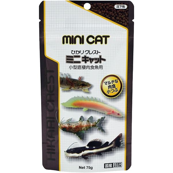 ザ・ポリプテルス : 恐竜魚の飼育と楽しみ方 Amazon.co.jp: ザ・ポリプテルス: 恐竜魚の飼育と楽しみ方