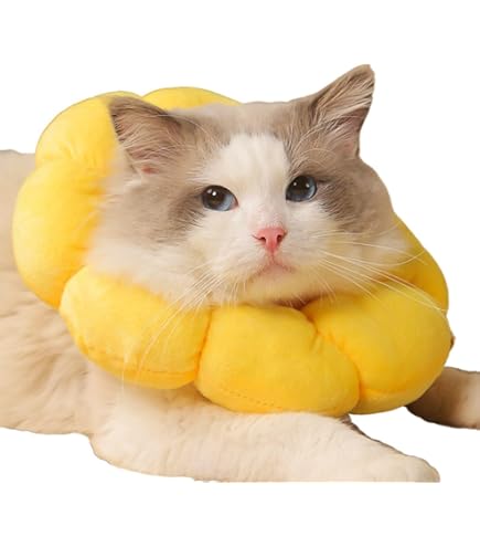 Amazon | 【獣医師推奨】Apettogo エリザベスカラー 猫 犬 ソフト 軽量