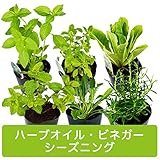 ハーブ 苗 6種 セット/ハーブオイル/ハーブビネガー/シーズニング 用 ＜当店は 苗 種 鉢 培養土 ニーム の専門店＞