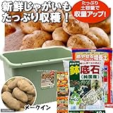 (観葉)プランターで育てる ジャガイモ栽培セット メークイン 家庭菜園 本州・四国限定[生体]