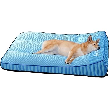 Amazon.co.jp 最新リリース: 犬用ベッド・クッション の新着ランキング