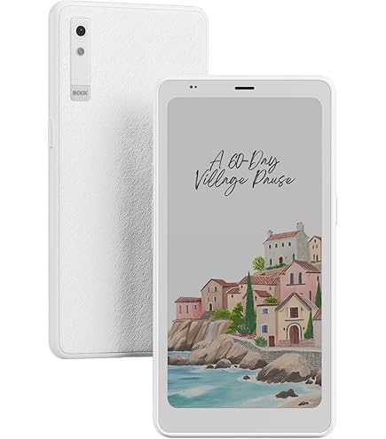 ONYX BOOX Palma - White : Amazon.sg: Home