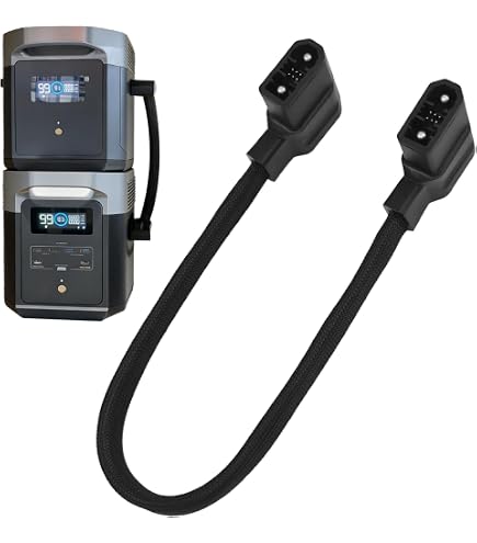 Amazon.co.jp: EcoFlow マイクロインバーターから発電所への接続 