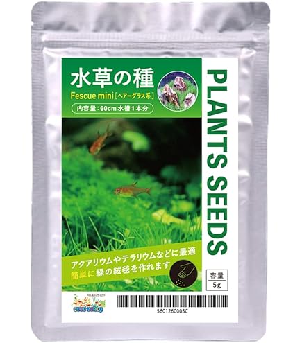 Amazon.co.jp: 耐寒性睡蓮 ブンラクサー 温帯睡蓮 水生植物 約8cm