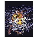 TOOGOO ( R ) DIY oilペイント、Paintworksペイントby number-水Tiger 16 X 20inch (フレームレス)