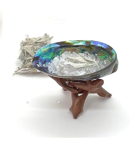 専用＊14kgf/アバロンシェル×クリスタルとブラウントパーズのトロピカルな植物 専用＊14kgf/アバロンシェル×クリスタルとブラウントパーズの