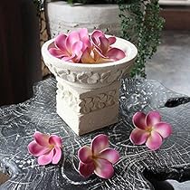 Amazon.co.jp: 【アジアン雑貨】 お花模様のボウルセット リゾート 