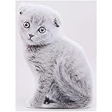 Amazon ひざねこ S スコティッシュフォールド グレー おもちゃ おもちゃ