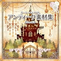 Amazon.co.jp: ガーリー*テイスト レース素材集 : Sachi: 本