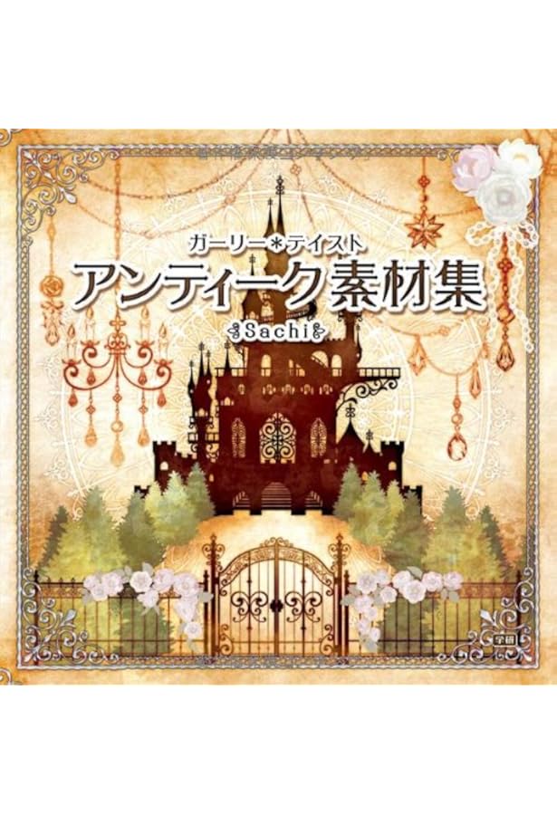 Amazon.co.jp: ガーリー*テイスト レース素材集 : Sachi: 本