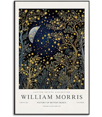 Amazon.co.jp: ウィリアム モリス ポスター 月と星 抽象キャンバス絵画