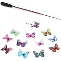 618P3t8OI3L._AC_UL210_SR210,