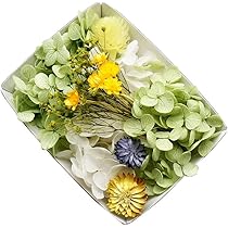 Amazon | プリザーブドフラワー ドライフラワー ミニブーケ 花瓶