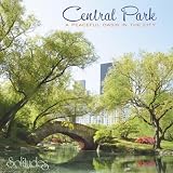 Solitudes: Central Park - Peaceful Oasis in City