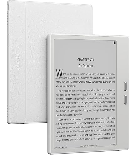 Amazon.co.jp: BOOX Go 10.3 (グレー) : パソコン・周辺機器