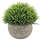 COOLBOTANG 人工観葉植物 　ミニ　鉢植え　偽緑色植物　屋内と屋外のインテリア　芝生　グリーン