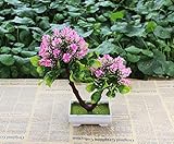 1pcs人工植物ミニ盆栽人工花プラスチックPotted木 One Size ピンク 520830221879-2