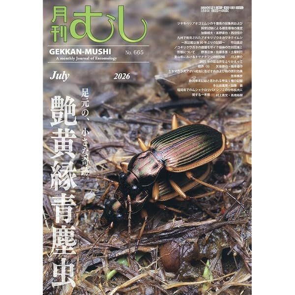 世界のタマムシに魅せられて | 林 昌利 |本 | 通販 | Amazon