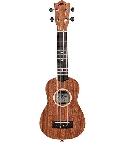 Worth Strings CH ウクレレ弦 クリアヘビー 63インチ フロロカーボン n5ksbvb Amazon | Worth Strings CH ウクレレ弦 クリアヘビー 63インチ