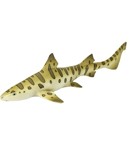 Safari  Wild Safari Dinosaurs ( ワイルド サファリ ダイナソーズ ) メガロドン 303329 Amazon.co.jp: Safari Ltd. Wild Dinosaurs (ワイルド サファリ