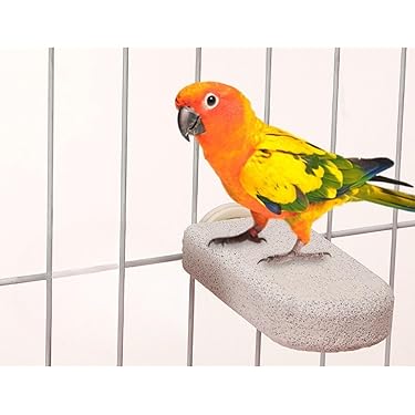 Amazon.co.jp 最新リリース: 鳥用品 の新着ランキングです。