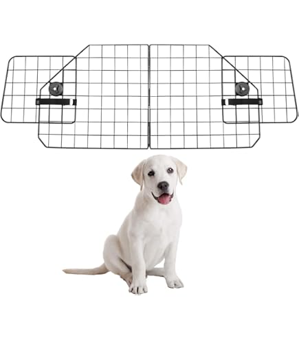 Uw hond in de auto | Auto-accessoires voor huisdieren | Volvo Cars Nederland