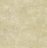 Warner WD3054 Plumant Hops Faux Plaster Texture Wallpaper, Yellow [並行輸入品]