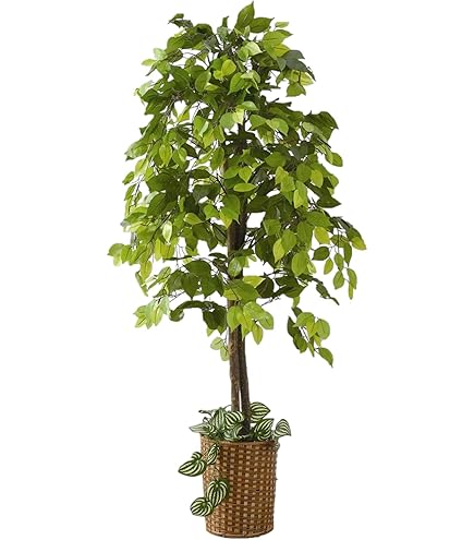 Amazon｜IKEA/イケア FEJKA/フェイカ：人工観葉植物170 cm