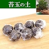 さあ、苔玉を作ってみませんか？苔があるという方はこちら【苔玉（こけだま）の土7個セット】