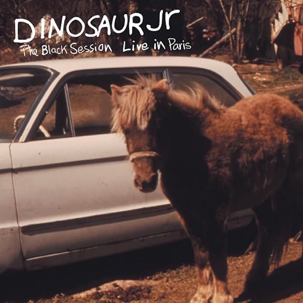 ■轟音7インチシングル/高音質オリジナル盤■DINOSAUR JR. / ダイナ □轟音7インチシングル/高音質オリジナル盤□DINOSAUR JR