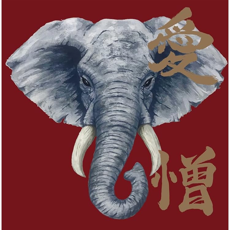 Amazon.co.jp: 炙りなタウン1 -死にたくなってからが本番