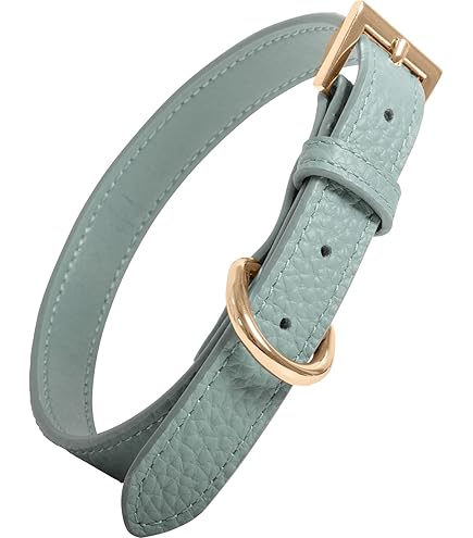 Amazon | DOG WooF 本革 牛革 犬 レザー 総編み込み 首輪 真鍮金具