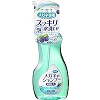 メガネのシャンプー除菌EX ミンティベリーの香り