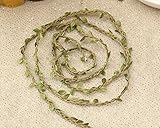 ブラウン自然Twine文字列リーフハンドメイド人工の葉ウェディングデコレーションDIY 4メーターzg00046 _ 1